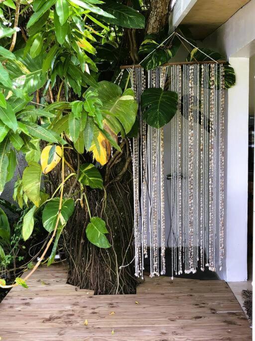 Bungalow Tiarii, Avec Acces Direct A Une Plage Privee Tevaitoa المظهر الخارجي الصورة
