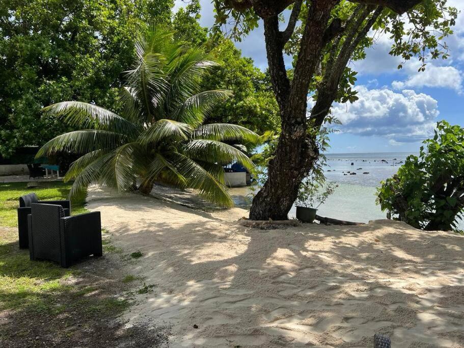 Bungalow Tiarii, Avec Acces Direct A Une Plage Privee Tevaitoa المظهر الخارجي الصورة