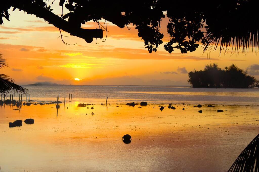 Bungalow Tiarii, Avec Acces Direct A Une Plage Privee Tevaitoa المظهر الخارجي الصورة